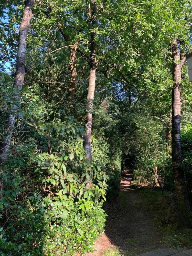 De Spitse Egel: Ontdek De Pareltjes In De Natuur! Otterlo Exteriör bild